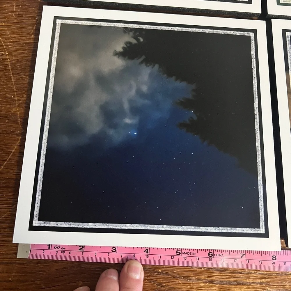 Pacific Northwest Photo Tile Set – 7 Original 8x8 Nature Photography Pieces